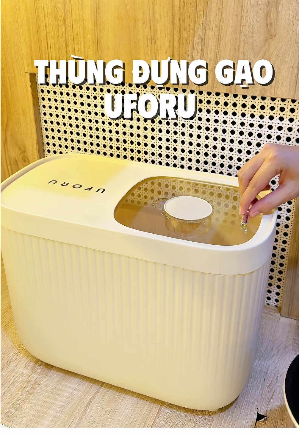 Thùng đựng gạo nhà mình #thungdunggao #uforu #mia #homemadeby_mia 