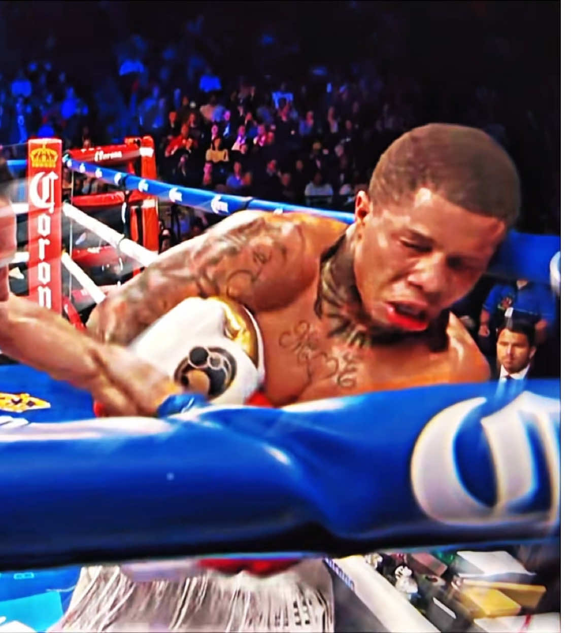 Wait for it..😳🥊 #boxing #gervontadavis #tankdavis #knockout #boxing🥊 #UFC 