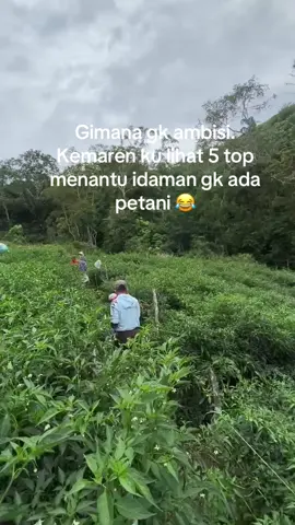 Petani muda#fyp##
