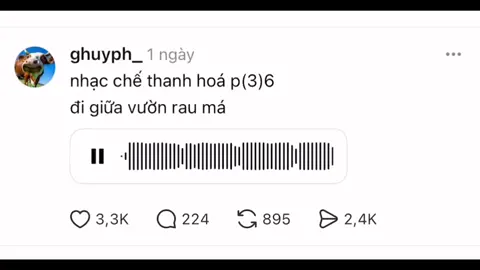 #thanhhoa #36 #xuhuong #fyp 