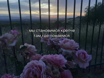 #щп #длярепостов #videoviral #fyp 