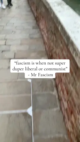 Fascism is when Trump and when Police or smt , reddit communist told me so #thirdposition #politics #europe #fyp #socialism 