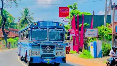 පාට මාරු උන කහ කොල්ලා 🥹💙 SRM CITY EXPRESS  වව්නියාව 69 ඇබිලිපිටිය ( S ) NG 4678 #fyp #foryoupage #15පාරදිගේ 