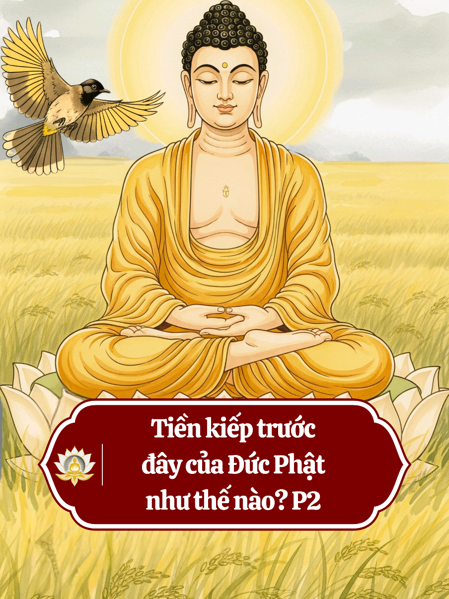 Tiền kiếp trước đây của Đức Phật như thế nào? P2  #thichphaphoa #giangphap #thaythichphaphoa #cauchuyenphatgiao #phatgiaonhiemmau #hocphatmoingay #phatgiaovietnam #phatgiaodaicuong 