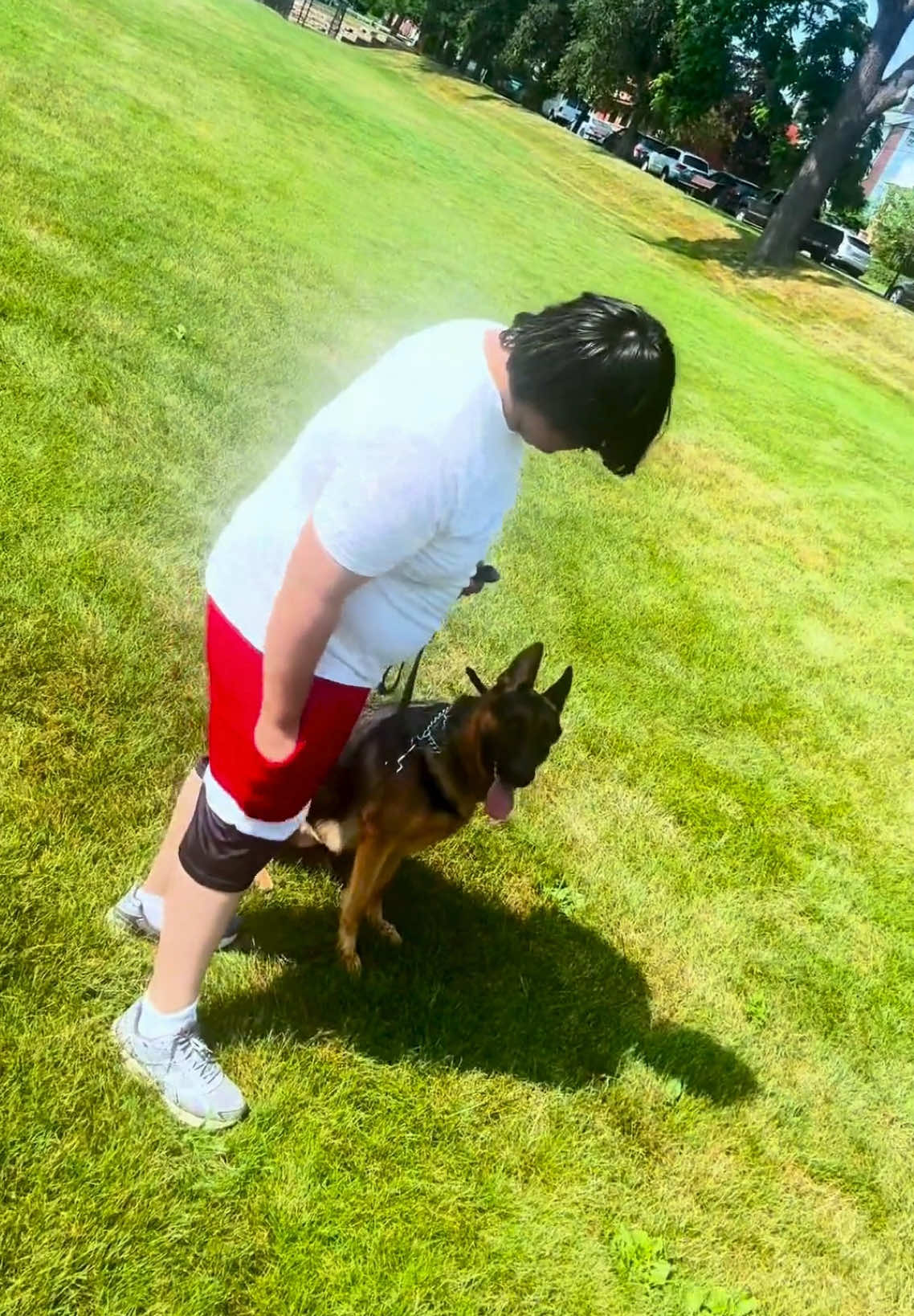 Training is one step at a time. There’s no magic — just consistency, patience, and intention. 💪 You don’t see the result after the first session. But you do see the result of your consistency after several. 👉🏻 A command that used to be ignored is now followed. 👉🏻 A walk that was once chaotic is now peaceful. 👉🏻 An anxious dog is now a balanced one. Each small progress is a piece in building a solid relationship and a calmer life. And when the result comes, you realize: every repetition was worth it. Training is building. And when you build with awareness, what you create is freedom. 🐾 #DesapegaOLX 