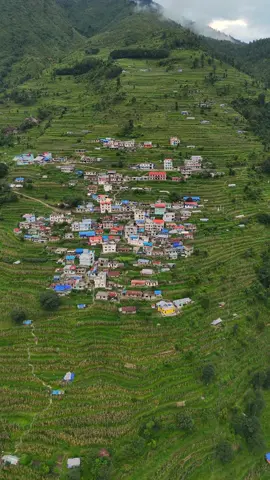 छिम्ती गाउँ , सिन्धुपाल्चोक       | |  💚☘️ | | #chhimti #shindupalchokmuser✌️💓💝 #villagelife #गाउँघर🏠❣ #appaphotography #traveltiktok 
