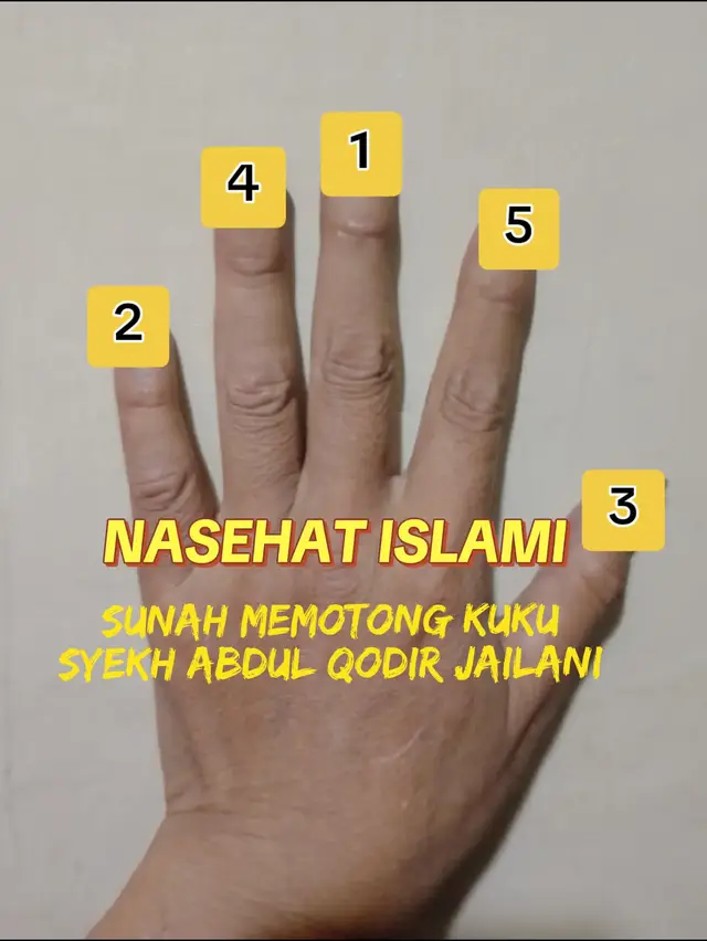1. JARI TENGAH 2. KELINGKING 3. JEMPOL 4. JARI MANIS 5. TELUNJUK Syekh Abdul Qadir Jailani tidak secara spesifik membahas tentang sunnah memotong kuku dalam kitab-kitabnya yang terkenal seperti Al-Ghunyah li Thalibi Thariqil Haqq atau Futuhul Ghaib. Namun, beliau menekankan pentingnya menjaga kebersihan dan kesucian diri sebagai bagian dari jalan spiritual. Memotong kuku, sebagai bagian dari kebersihan diri, bisa dianggap sebagai amalan yang dianjurkan dalam konteks menjaga kesucian tersebut.  Meskipun tidak ada dalil khusus dari Syekh Abdul Qadir Jailani tentang sunnah memotong kuku, dalam tradisi Islam secara umum, memotong kuku dianggap sebagai bagian dari sunnah fitrah, yaitu amalan yang selaras dengan fitrah manusia dan dianjurkan untuk dilakukan. Beberapa ulama juga memberikan panduan tentang urutan memotong kuku dan waktu yang disunnahkan.  Sunnah-sunnah terkait memotong kuku dalam tradisi Islam: Waktu: Sebagian ulama menganjurkan memotong kuku pada hari Senin, Kamis, atau Jumat, terutama setelah shalat Ashar pada hari Kamis, menurut NU Online.  Urutan: Ada beberapa pendapat mengenai urutan memotong kuku. Salah satu pendapat yang populer adalah dimulai dari jari telunjuk tangan kanan, lalu jari tengah, jari manis, kelingking, dan diakhiri dengan ibu jari. Kemudian, tangan kiri dimulai dari jari kelingking, jari manis, jari tengah, jari telunjuk, dan diakhiri dengan ibu jari. Untuk kaki, dimulai dari jari kelingking kaki kanan, lalu jari manis, jari tengah, jari telunjuk, dan diakhiri dengan ibu jari. Kemudian, kaki kiri dimulai dari ibu jari, lalu jari telunjuk, jari tengah, jari manis, dan diakhiri dengan jari kelingking, menurut detikcom.  Kebersihan: Setelah memotong kuku, dianjurkan untuk membersihkan sisa-sisa potongan kuku dan menguburnya.  Menghindari penyakit: Memotong kuku secara teratur dapat membantu mencegah penyakit kulit dan infeksi.  Kekhusyukan dalam beribadah: Beberapa ulama juga menghubungkan memotong kuku dengan upaya menjauhkan diri dari gangguan setan yang mungkin bersembunyi di bawah kuku.  Meskipun tidak ada perintah khusus dari Syekh Abdul Qadir Jailani mengenai sunnah memotong kuku, menjaga kebersihan diri, termasuk memotong kuku, sejalan dengan ajaran beliau tentang pentingnya kesucian dan pendekatan diri kepada Allah Subhanahu Wata'ala. @mukmin_berbagi  #nasehatislami  #nasehat #syekhabdulqodiraljaelani  #ceramah #sunah #memotongkuku 