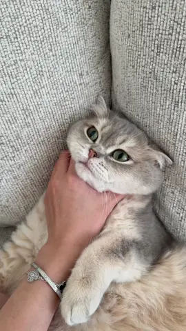 He fell asleep 