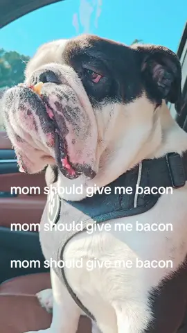 #bacon #mom 