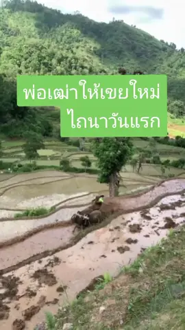 เขยใหม่