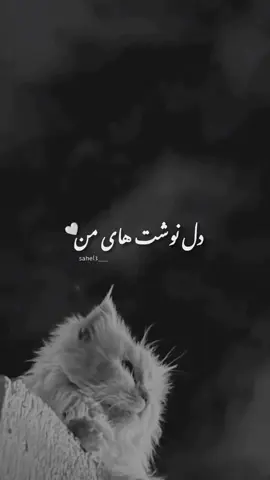 #creatorsearchinsights  #بیوگرافی #بیوخاص #متن_بیو #بیو_غمگین