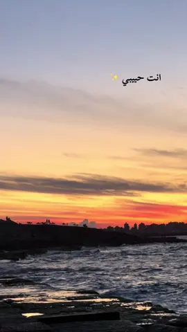 #fyp #viral #alexandria 