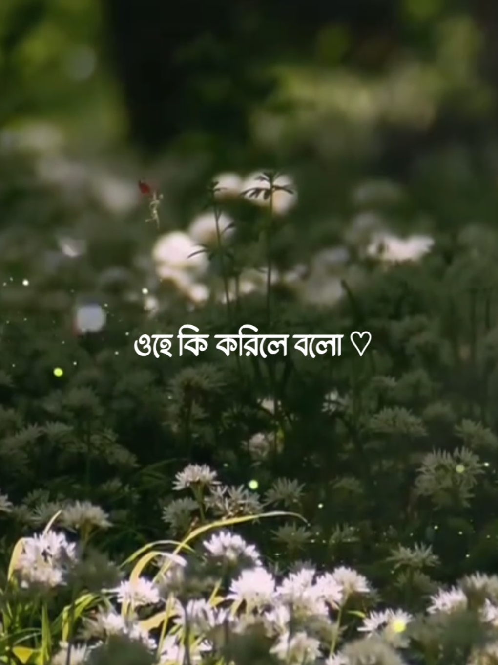 ওহে কি করিলে বলো পাইবো তোমারে,