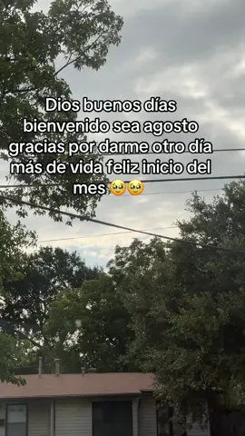 Dios buenos días bienvenido sea agosto gracias por el regalo de otro día feliz inicio del mes#paratiiiiiiiiiiiiiiiiiiiiiiiiiiiiiii #bendiciones🌹❤️🙌🏻🙌🏻🙏 #feliziniciodemes #felizcumoleañosparami 💖💖