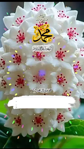 🥰🥰🥰🥰🥰🥰🥰🥰🥰🥰