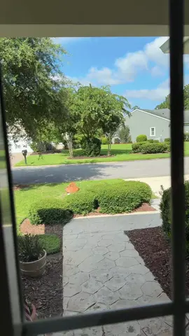 #WhatIsThat
