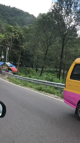 Yang paling susah dari puncak? Ngelepas tenangnya😩#puncakbogor #jawabarat #cisaruapuncakbogor #fypシ゚ #roadtripvibes🎶 #healing 