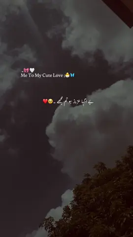 Wallah 🫀🌸❤️... || #poetry #poetrystatus #asthetic #foryou #foryoupage #grow #account #unfrezzmyaccount #yousafvibes1 