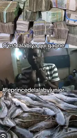#leprincedelalabyjunior mohamed lalaby fils digne de lalaby 