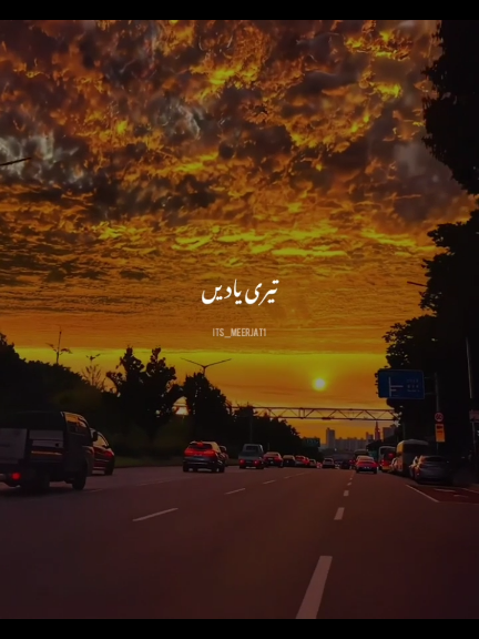 Teri Yaadein #foruyou #lyrics #its_meerjat1 #songslyrics #unitedkingdom #viral_video #song #usa #growmyaccount 