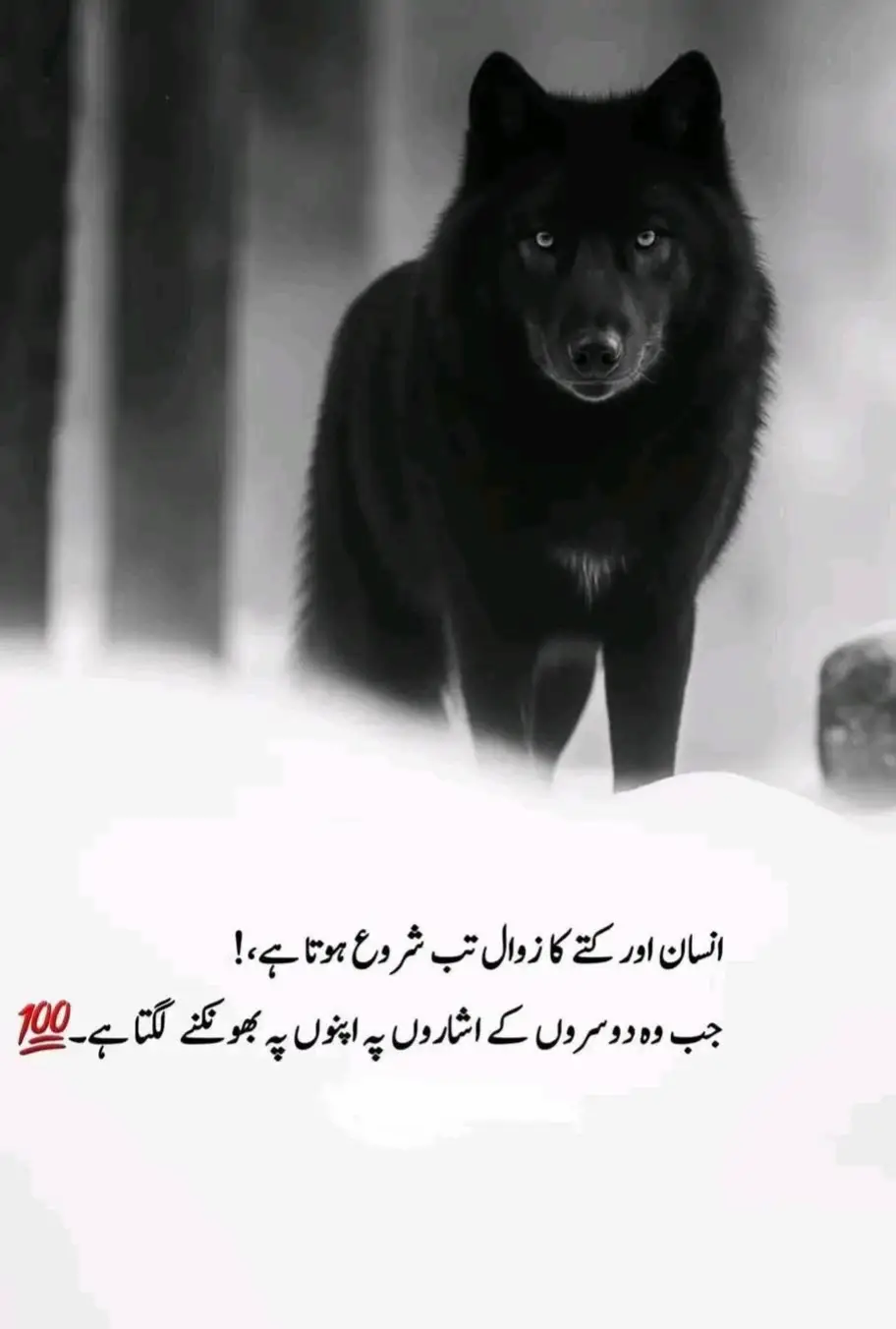 #foryoupage❤️❤️ 