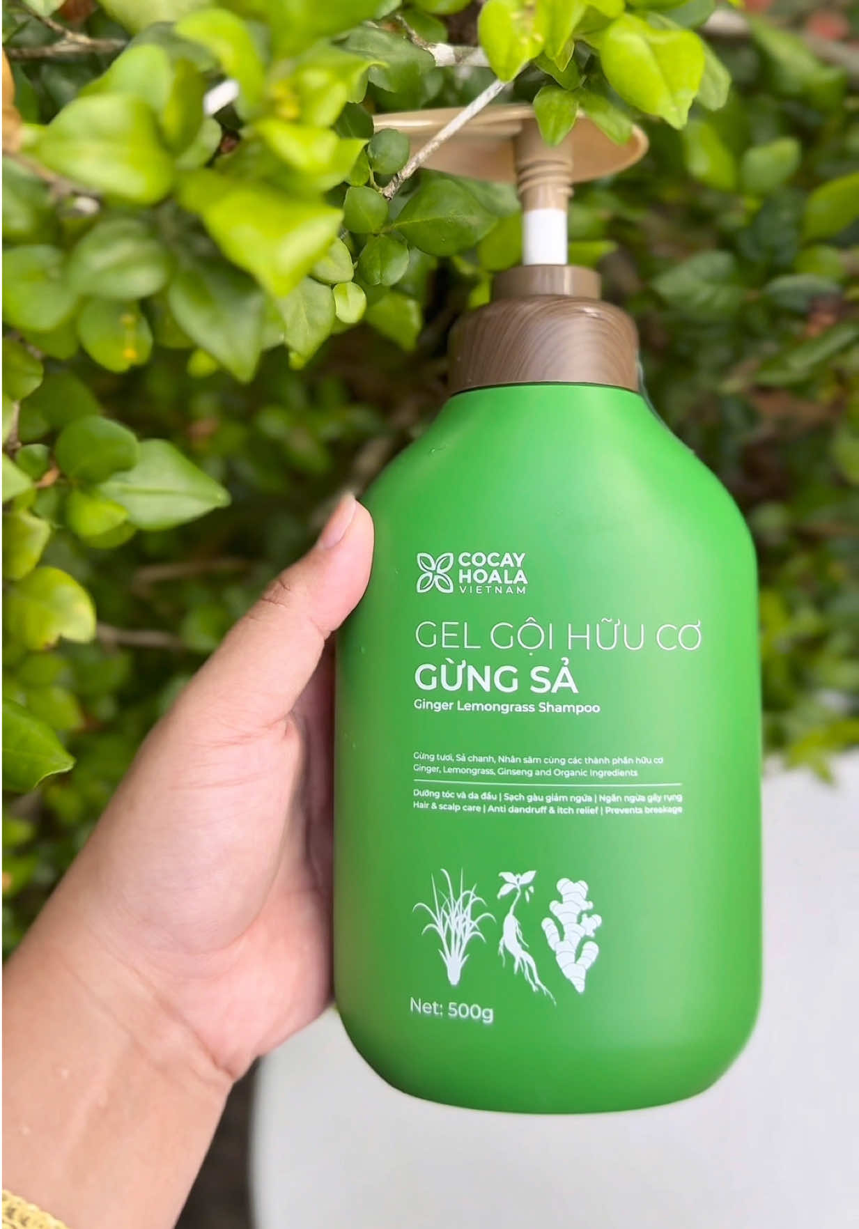 Dầu gội cỏ cây hoa lá dạng hữu cơ lành tính cho các mẹ bầy và các mom sau sinh #daugoicocayhoala #cocayhoala #huongmesam