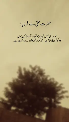 Hazrat Ali Firmate hain ✨ 🌸 🕊️ 🖤#ik_hasan1  #its_h4sn#1millionaudition#grow  #aesthetic #poetrystatus #foryou #foryoupage #fyp #fyp1millionviews 