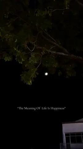 what’s is Life?  Simple, ”Life is Happiness”  #life #lifeishappiness #fy #quotes #moon 