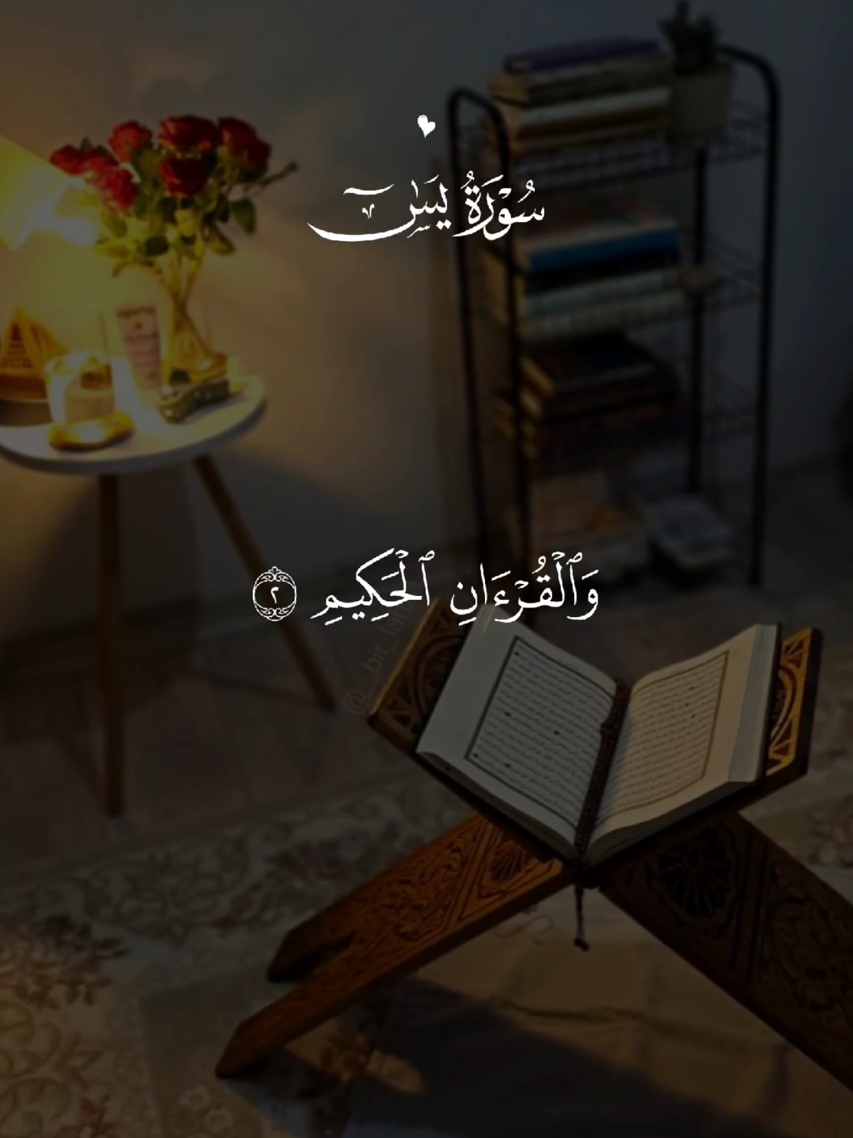 سورة يس 🤍 #quran #القران #quran_alkarim #القران_الكريم #qu_ran_n #تلاوة_خاشعة #qu_ran_n؛؛قرآن #chahr_205 #اجر_لي_ولكم #islamic_video #صدقه_جاريه #quran_114st 