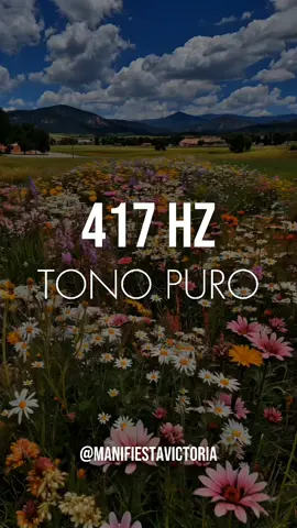 417 Hz - LA FRECUENCIA DEL CAMBIO Y LA LIBERACIÓN DE PATRONES TÓXICOS ✨ Usa esta frecuencia transformadora para borrar memorias negativas, romper ciclos repetitivos y abrir caminos nuevos. ¡Actívala en momentos clave!   🔄 REINICIAR SITUACIONES ESTANCADAS  - Tras una discusión recurrente (pareja/familia): Disuelve la energía del pasado que envenena el presente.   - Al iniciar un nuevo hábito: Borra memorias de fracasos anteriores (ej: dejar de fumar, dieta, ejercicio).   - Al mudarse o cambiar trabajo: Limpia residuos energéticos de espacios o relaciones anteriores.   🧠 DESBLOQUEAR CREATIVIDAD Y SOLUCIONES   - Antes de brainstorming o proyectos artísticos: Despeja la 