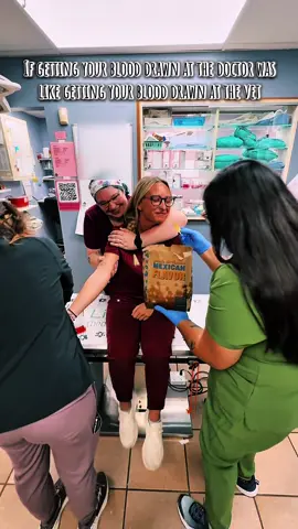 (No Chandlers were harmed in the making of this video) 💁🏼‍♀️💉🩸#CapCut #vetmed #vetmedhumor 