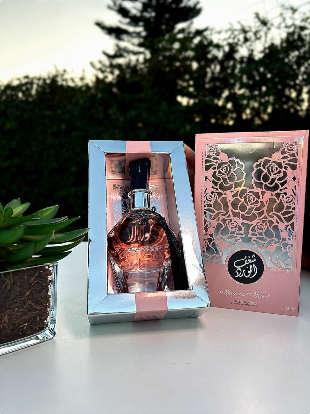 Shagaf Al Ward é floral com presença. #arabe #perfumetiktok #perfumearabe 