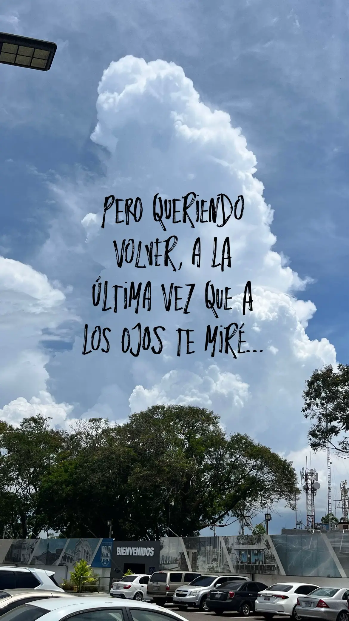 🙇🏻‍♀️ #badbunnypr #dtmf #dtmfbadbunny #badbunny #parati #fyp 
