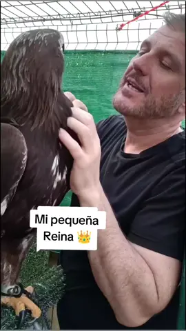 #TerapiasRapaces#RespetoAnimales#AmorRapaz#TallerSensorial#TerapiasConAnimales#Naturaleza#VinculoAnimal 