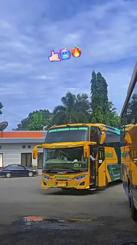 Mc Laren😎 #busefisiensi #efisiensitransport #jalanbarengefi #foryoupage #kuliefisiensi #busmania #busvideo #busmaniacommunity #fypシ゚viral #zyxbca #reels 