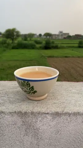 ہم نے واسطہ چائے سے رکھ کر فاصلہ انسانوں سے اختیار کیا