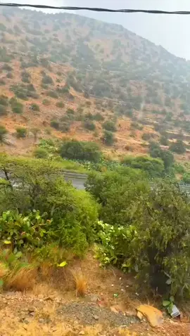 ميسان 