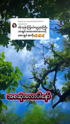 Replying to @user858226105 #တင်ပေးလိုက်ပီနော် #မြန်မာသံစဥ်များကိုချစ်မြတ်နိုးသူ #မြန်မာသံစဥ်ချစ်မြတ်နိုးသူများသို့💕💕💕💕  #koaung 