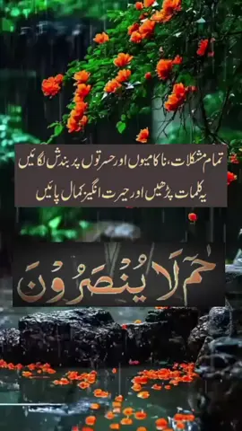#mohabbat-ka-taweez#mohabbat-ka-Ama#foyoU-taweez