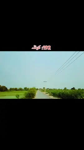 #creatorsearchinsights #tiktokautocampaign #🚩 