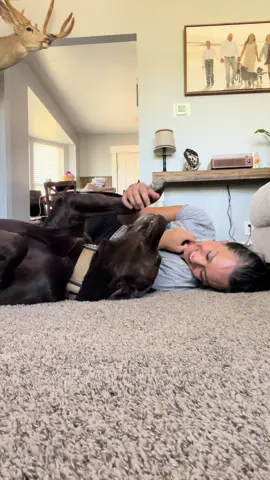 if all else fails, lay on the floor with your dog 🤎