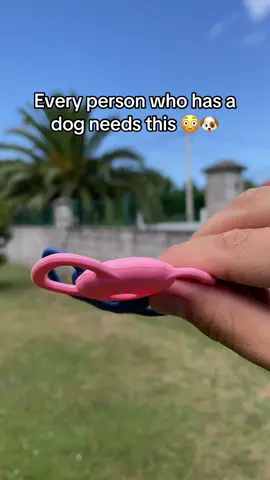 Every person who has a dog needs this 😳🐶 #DogSafety #AirTagForDogs #Pawtag #DogLovers #PetTracker #DogCollarHack #SafeDog #LostDogPrevention #SmartDogGear #EveryDogNeedsOne is the perfect AirTag holder for dog collars