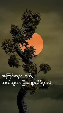 #လွှမ်းညတွေရယ်လွန်ပါတော့ကွယ်..##