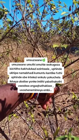 #highlight #fypeeeeeeeeeeeeeeeeee #viralvideos #trendingnow #Guateng #sma 