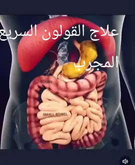علاج القولون السريع والمجرب  خلال اسبوعين 