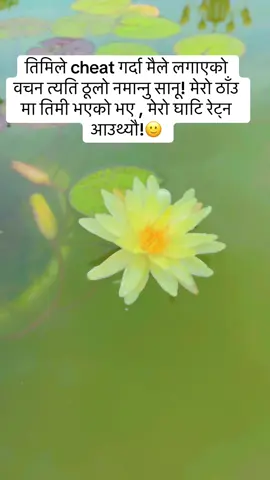तिमिले cheat गर्दा मैले लगाएको वचन त्यति ठूलो नमान्नु सानू! मेरो ठाँउ मा तिमी भएको भए , मेरो घाटि रेट्न आउथ्यौ!🙂#copied #fyp #goviral 
