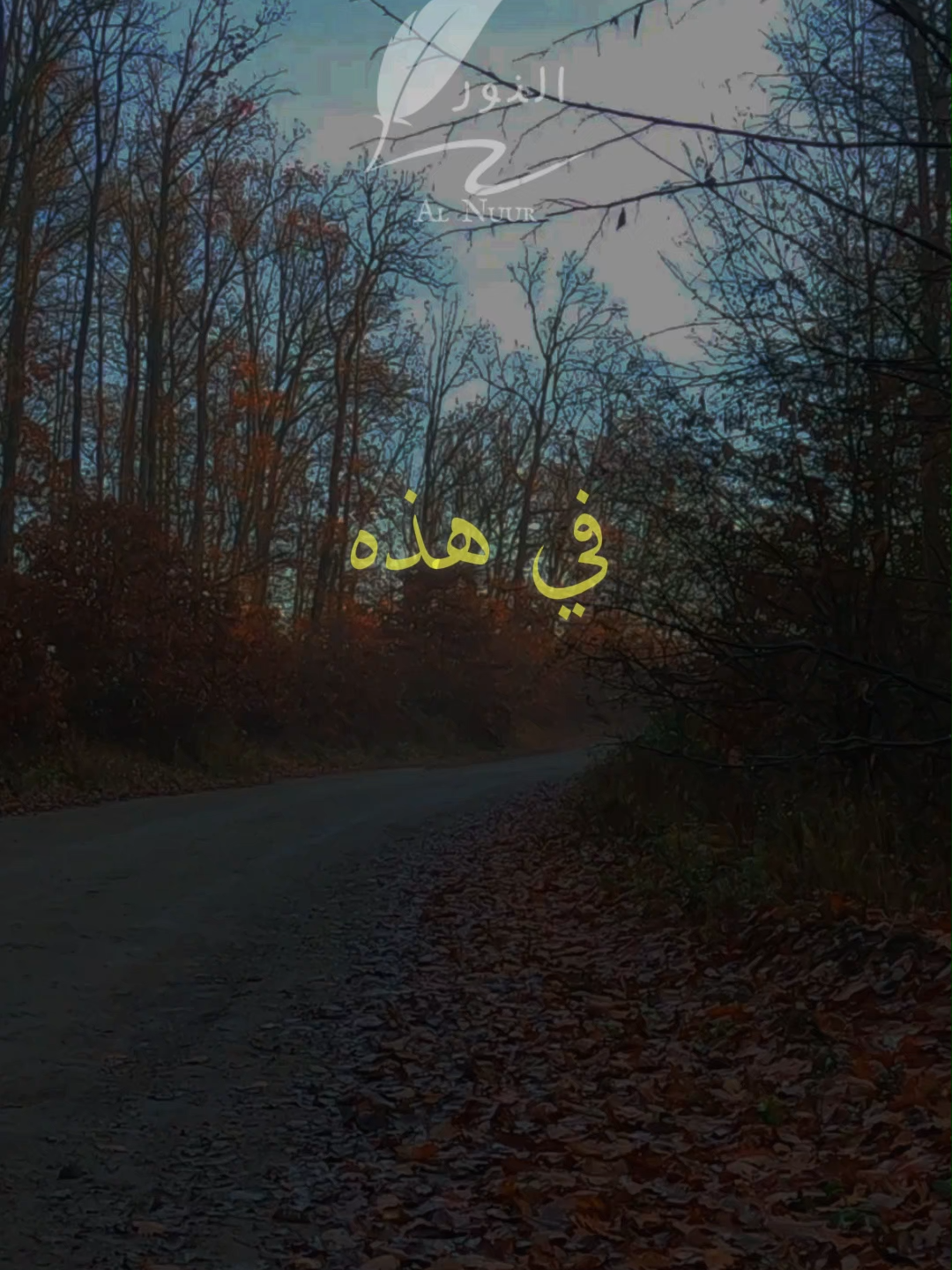 ثلاثة لا تعود وثلاثة لا تضيع #اقتباسات #حكمة #خواطر #اكسبلور #نجاح #علم_النفس #تطوير_الذات #كلام_من_ذهب #اطمئن #اقتباسات_عبارات_خواطر #تحفيزات_إيجابية #اللهم_صلي_على_نبينا_محمد #fyp #explore #viral_video #psychology #motivation