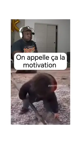On appelle ça la motivation #hahaha #drole #pourtoi 