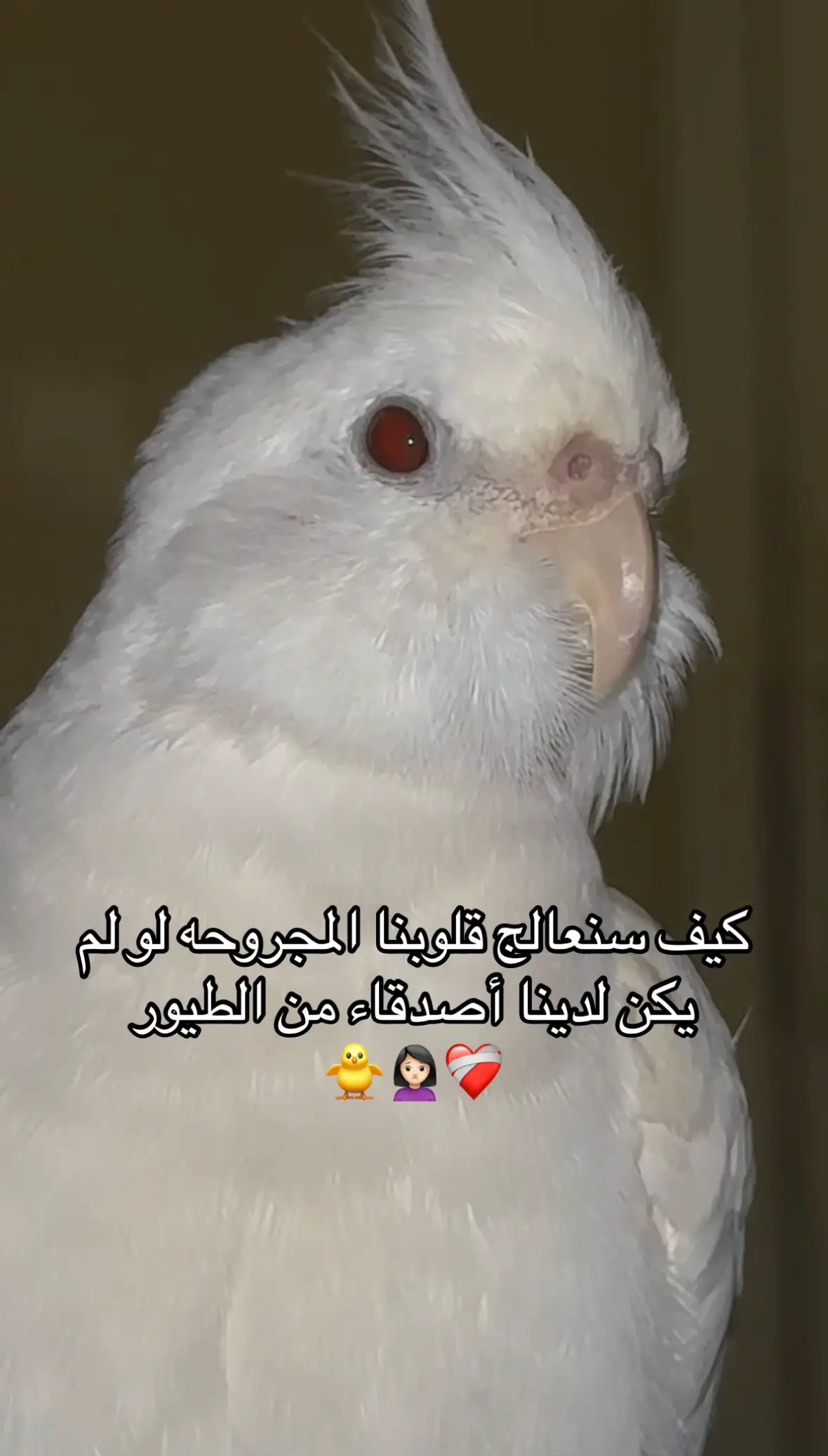 #نهار_وآخرون🐥 
