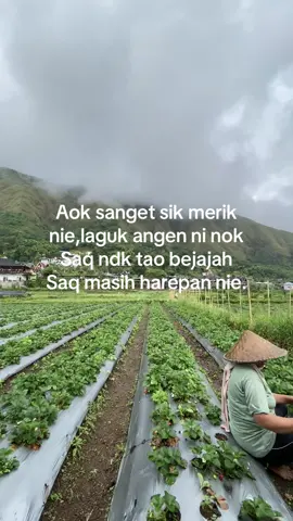 🥹#storysasak #lombokvirall🌴🌴 #lomboktiktok #sasakvirallombok🥀 #sasaklombok #lagusasak 